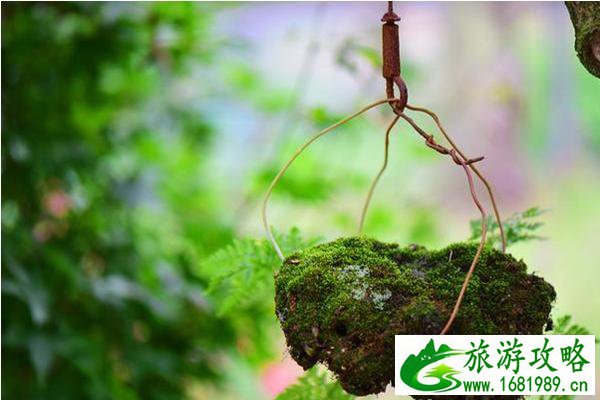 日本民宿哪家比较好 日本民宿哪家比较好