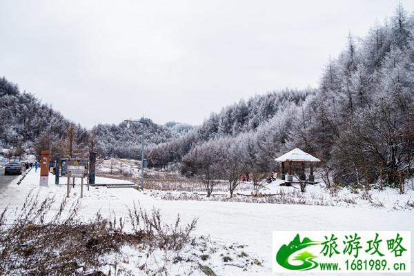 重庆毛草坝滑雪场在哪里 重庆茅草坝滑雪场怎么去 重庆毛草坝滑雪场在哪里 重庆茅草坝滑雪场怎么去