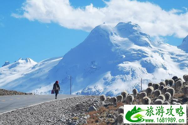 冬天去西藏合适吗 西蔵有什么好吃的特产 冬天去西藏合适吗 西蔵有什么好吃的特产