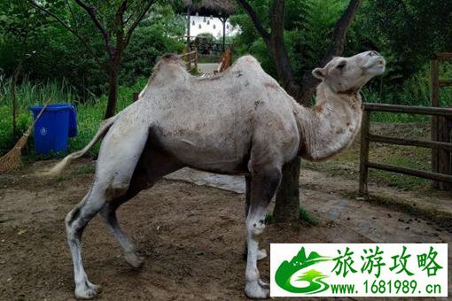 三国村门票及路线指南 三国村门票及路线指南