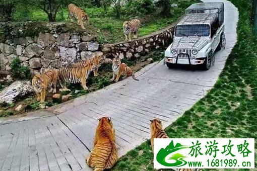 栾川竹海野生动物园票价及路线 栾川竹海野生动物园票价及路线