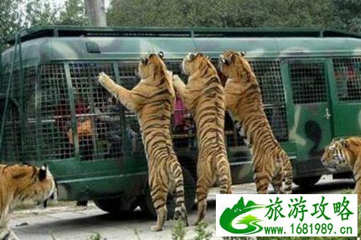 南京珍珠泉野生动物园门票及路线指南 南京珍珠泉野生动物园门票及路线指南