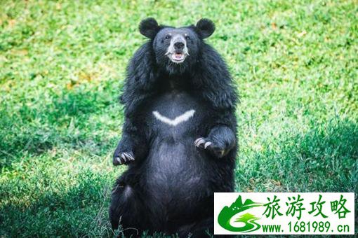 南京珍珠泉野生动物园门票及路线指南 南京珍珠泉野生动物园门票及路线指南