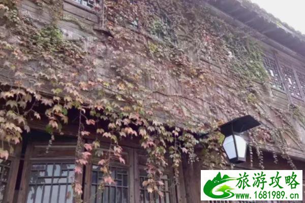 乌镇特色美食介绍 门票价格及交通信息