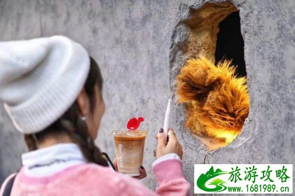 上海网红熊爪咖啡店在哪里 熊爪咖啡店名是什么 上海网红熊爪咖啡店在哪里 熊爪咖啡店名是什么