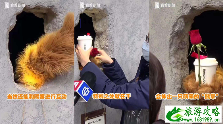 上海网红熊爪咖啡店在哪里 熊爪咖啡店名是什么 上海网红熊爪咖啡店在哪里 熊爪咖啡店名是什么