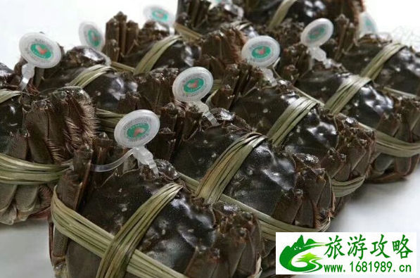 阳澄湖大闸蟹什么时候最好吃 阳澄湖大闸蟹怎么识别真假 阳澄湖大闸蟹什么时候最好吃 阳澄湖大闸蟹怎么识别真假
