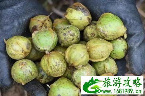 临安特色美食小吃推荐 临安特色美食小吃推荐