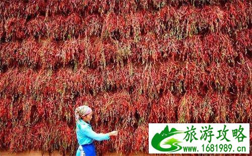 丘北普者黑有什么好吃的美食 丘北普者黑有什么好吃的美食