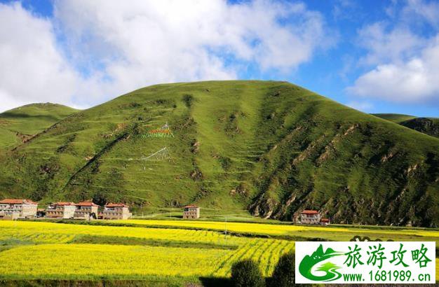 祝桑草原旅游攻略+景点大全 祝桑草原旅游攻略+景点大全