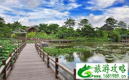 广州南沙湿地公园有什么好吃的 广州南沙湿地公园哪里有好吃的地方 广州南沙湿地公园有什么好吃的 广州南沙湿地公园哪里有好吃的地方