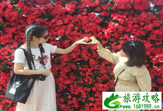 芽庄珍珠岛游乐园有哪些游玩项目 芽庄珍珠岛游乐园有哪些游玩项目