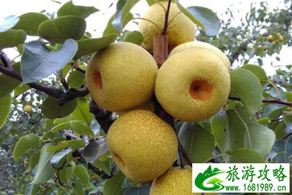 安徽特产有哪些 有哪些土特产可以带走 安徽特产有哪些 有哪些土特产可以带走