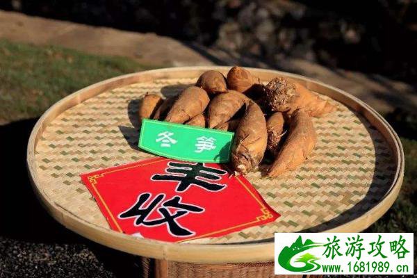 婺源特色商品有哪些 婺源购物街在哪里以及购物攻略 婺源特色商品有哪些 婺源购物街在哪里以及购物攻略