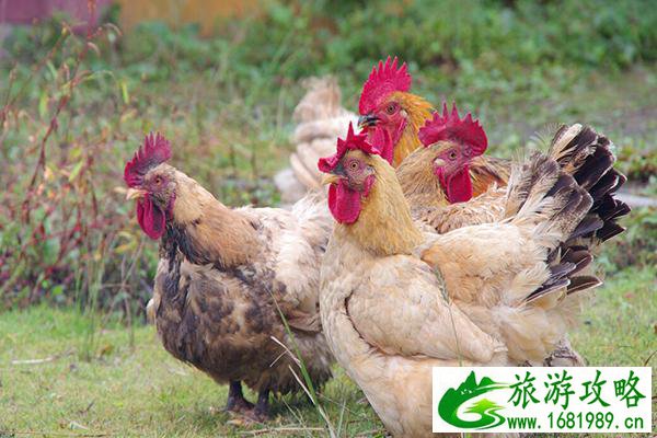 大连特产有哪些 大连特产推荐