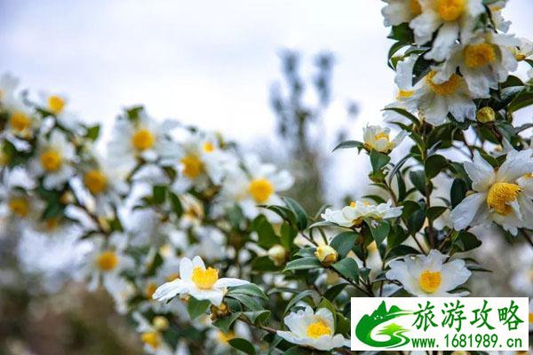 中国印山景点特产推荐