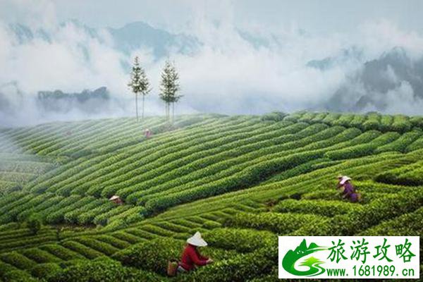 九江特色土特产推荐