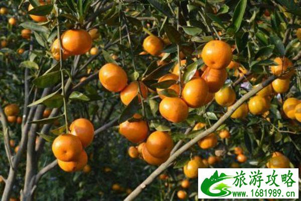 江西特色土特产推荐