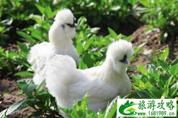 江西特色土特产推荐