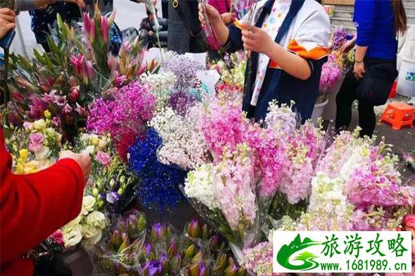 江门迎春花市在哪里 附2020迎春花市信息