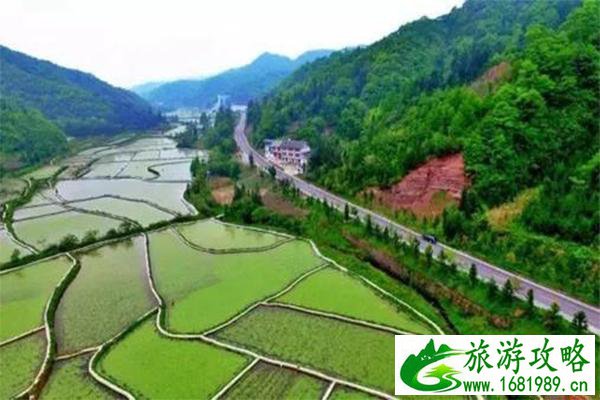 哪里生产莼菜 中国哪里的莼菜最好 哪里生产莼菜 中国哪里的莼菜最好