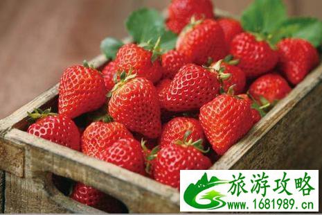 苏州哪里有摘草莓的地方 2022苏州草莓采摘出时间+地点+价格