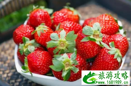 苏州哪里有摘草莓的地方 2022苏州草莓采摘出时间+地点+价格