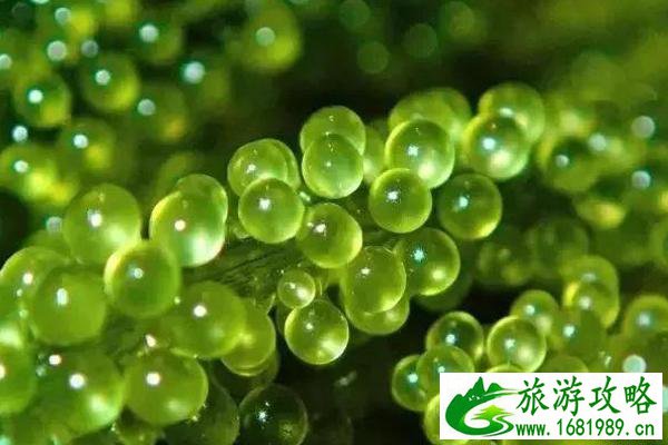 冲绳特产美食推荐