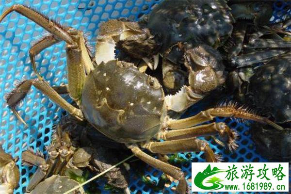 苏州阳澄湖大闸蟹为什么这么贵