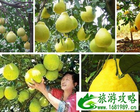 桂林特产有什么值得带 桂林特产有哪些 桂林特产有什么值得带 桂林特产有哪些