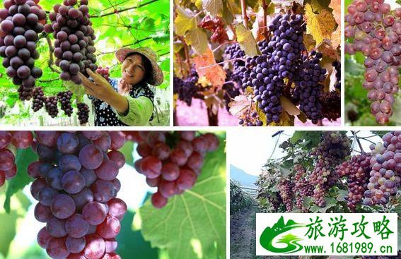 桂林特产有什么值得带 桂林特产有哪些 桂林特产有什么值得带 桂林特产有哪些