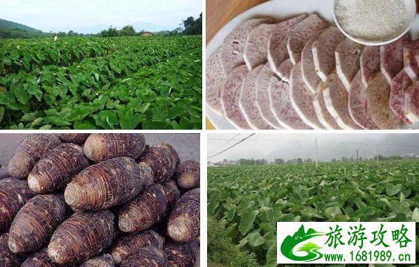 桂林特产有什么值得带 桂林特产有哪些 桂林特产有什么值得带 桂林特产有哪些