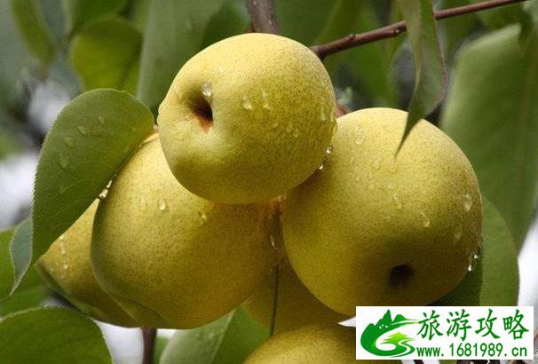 西藏的水果秘密 西藏的水果比你想象中多 西藏的水果秘密 西藏的水果比你想象中多