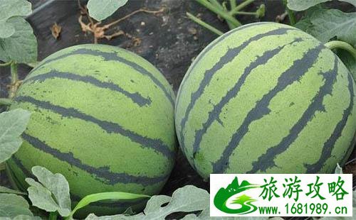 西藏的水果秘密 西藏的水果比你想象中多 西藏的水果秘密 西藏的水果比你想象中多