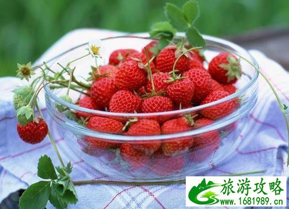 西藏的水果秘密 西藏的水果比你想象中多 西藏的水果秘密 西藏的水果比你想象中多