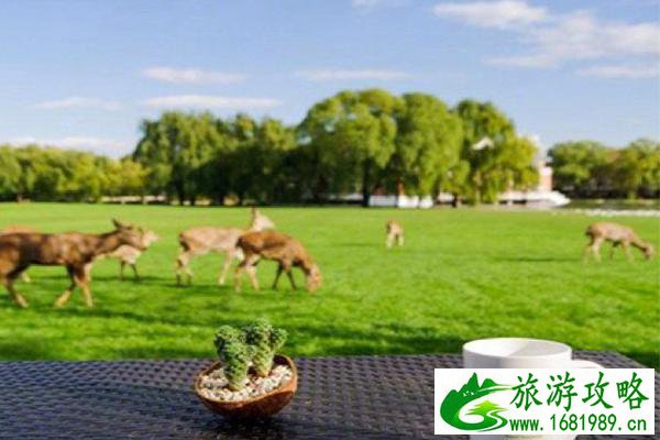 北京私汤哪里好 北京日式温泉民宿推荐 北京私汤哪里好 北京日式温泉民宿推荐