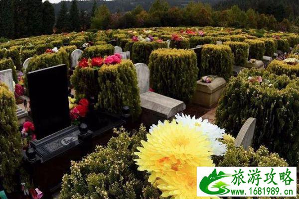 昆明公交扫墓专线有哪些 2021昆明公交开通8条清明扫墓巴士专线 昆明公交扫墓专线有哪些 2021昆明公交开通8条清明扫墓巴士专线