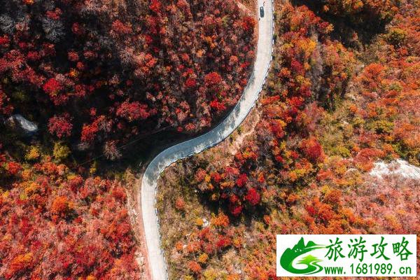 2021洛阳沿黄生态旅游公路全线贯通 全面建成通车时间 2021洛阳沿黄生态旅游公路全线贯通 全面建成通车时间