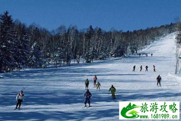 2020年黑龙江大雪高速封闭情况