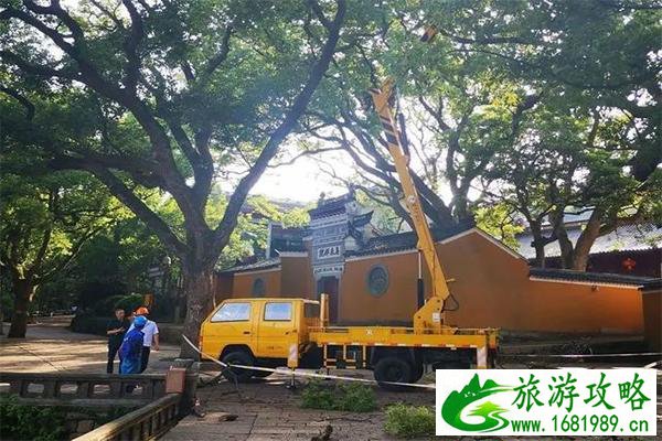 普陀山航线船期最新时间调整 附表2020 普陀山航线船期最新时间调整 附表2020