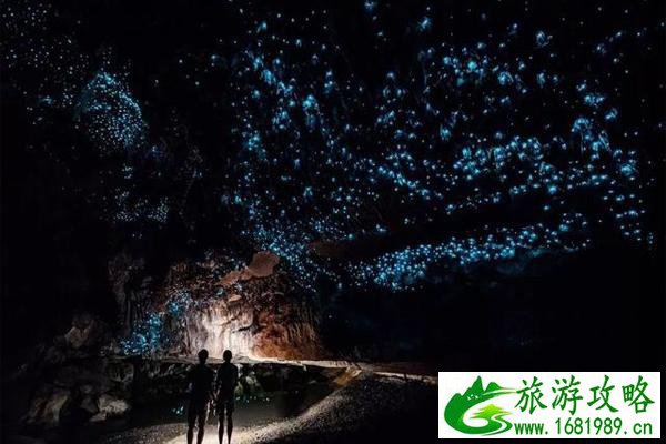 2020新西兰到中国航班通航吗和什么时候恢复 2020新西兰到中国航班通航吗和什么时候恢复