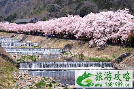 日本箱根去东京怎么走 日本箱根去东京怎么走