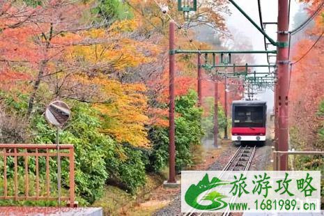 日本箱根去东京怎么走 日本箱根去东京怎么走