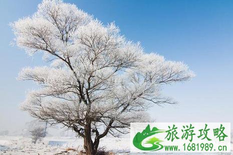龙嘉机场怎么去吉林 怎么到达吉林