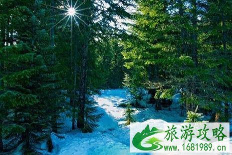 怎么去延边市内 怎么去延边市内