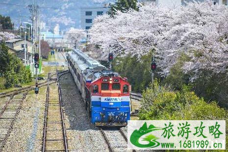 首尔火车票怎么买 首尔火车线路图 首尔火车票怎么买 首尔火车线路图