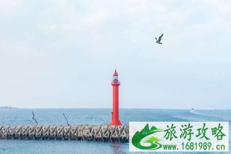 中国哪里直飞济州岛 济州岛机场叫什么 济州国际机场攻略