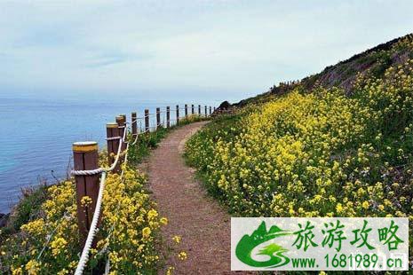 中国哪里直飞济州岛 济州岛机场叫什么 济州国际机场攻略