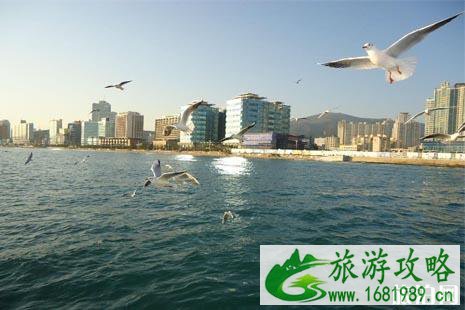 韩国釜山怎么去 釜山交通攻略 韩国釜山怎么去 釜山交通攻略