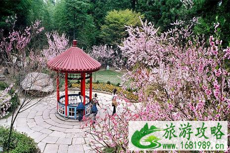 自驾上庐山车开到哪里 自驾上庐山车开到哪里